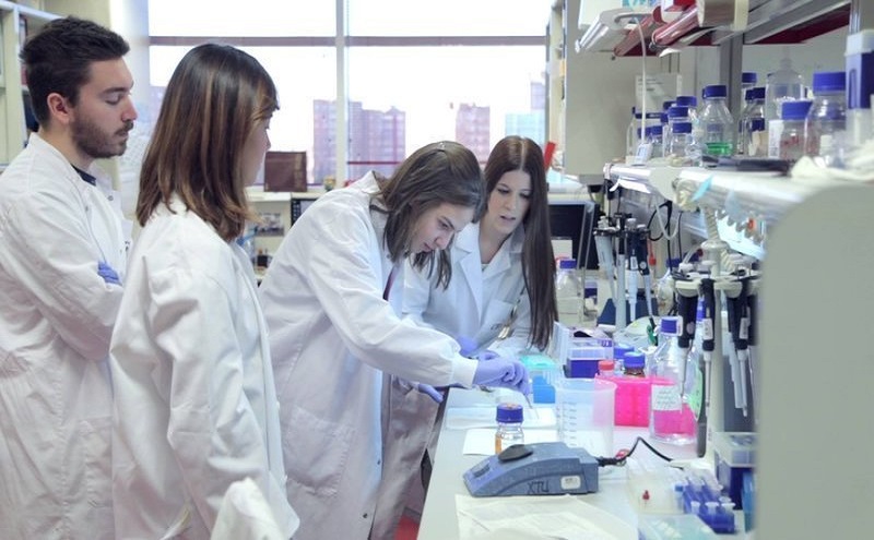 investigación