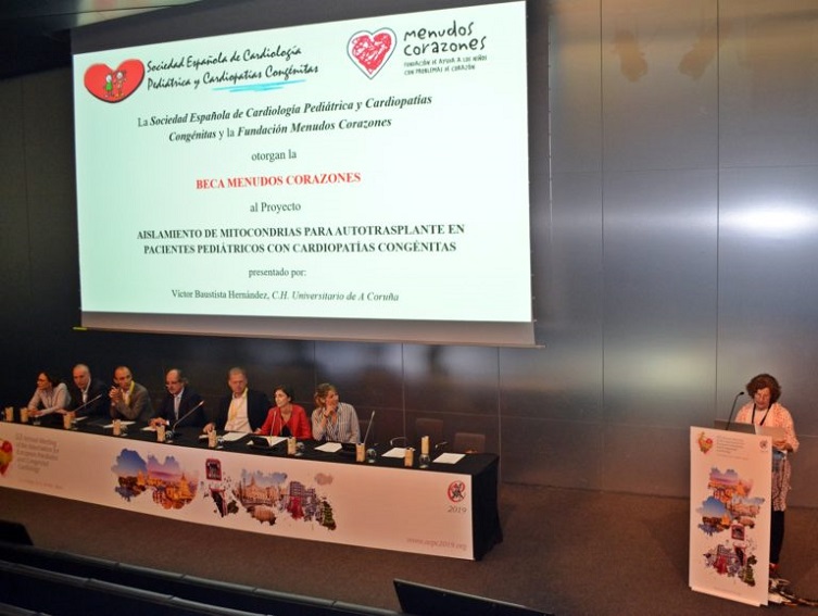 II Beca Menudos Corazones para la investigación en cardiopatías congénitas