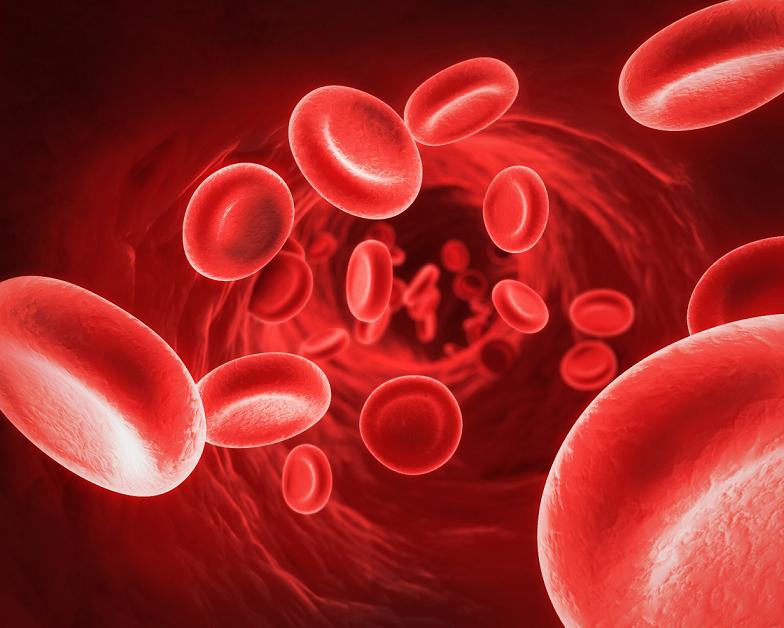 Abordaje de los inhibidores en hemofilia