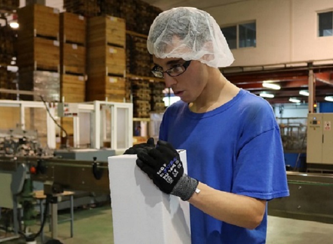 Apostando por el empleo en parálisis cerebral