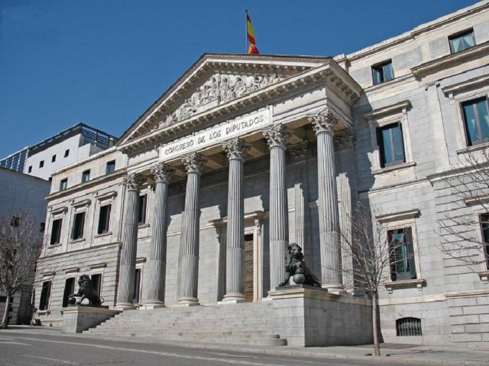 Avanza la reforma constitucional: hito histórico para la discapacidad