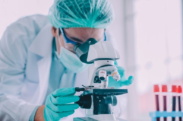 Cáncer e investigación: del microscopio al medicamento