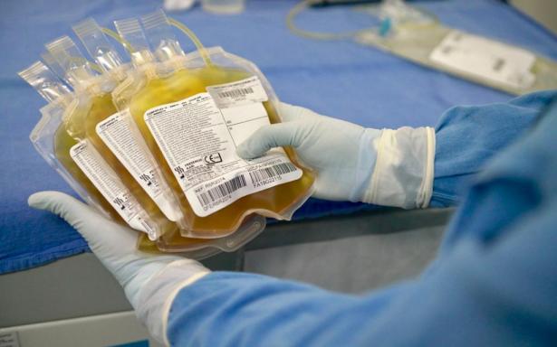Unidos por el plasma