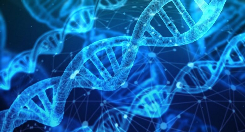 Claves del asesoramiento genético en enfermedades raras