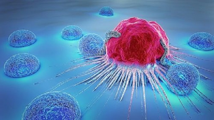 Inmunoterapia y Cáncer