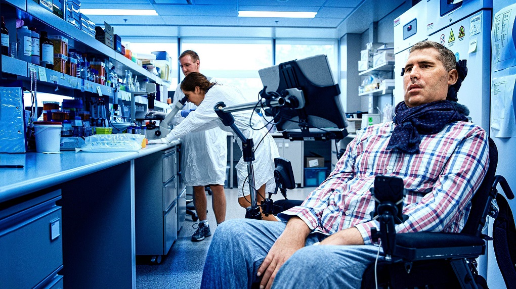 Facilitar la investigación y la divulgación de sus resultados a todas las personas