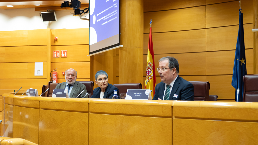 Jornada en el Senado sobre EICRc