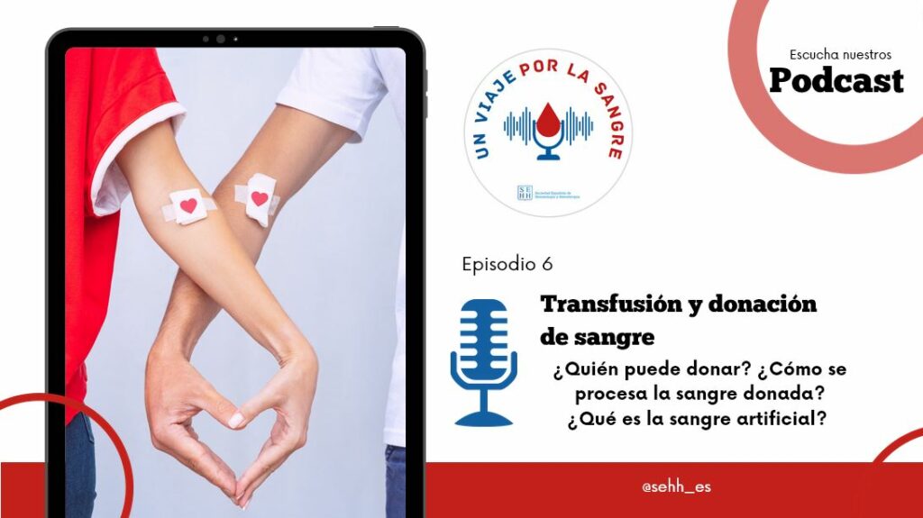 donacion sangre