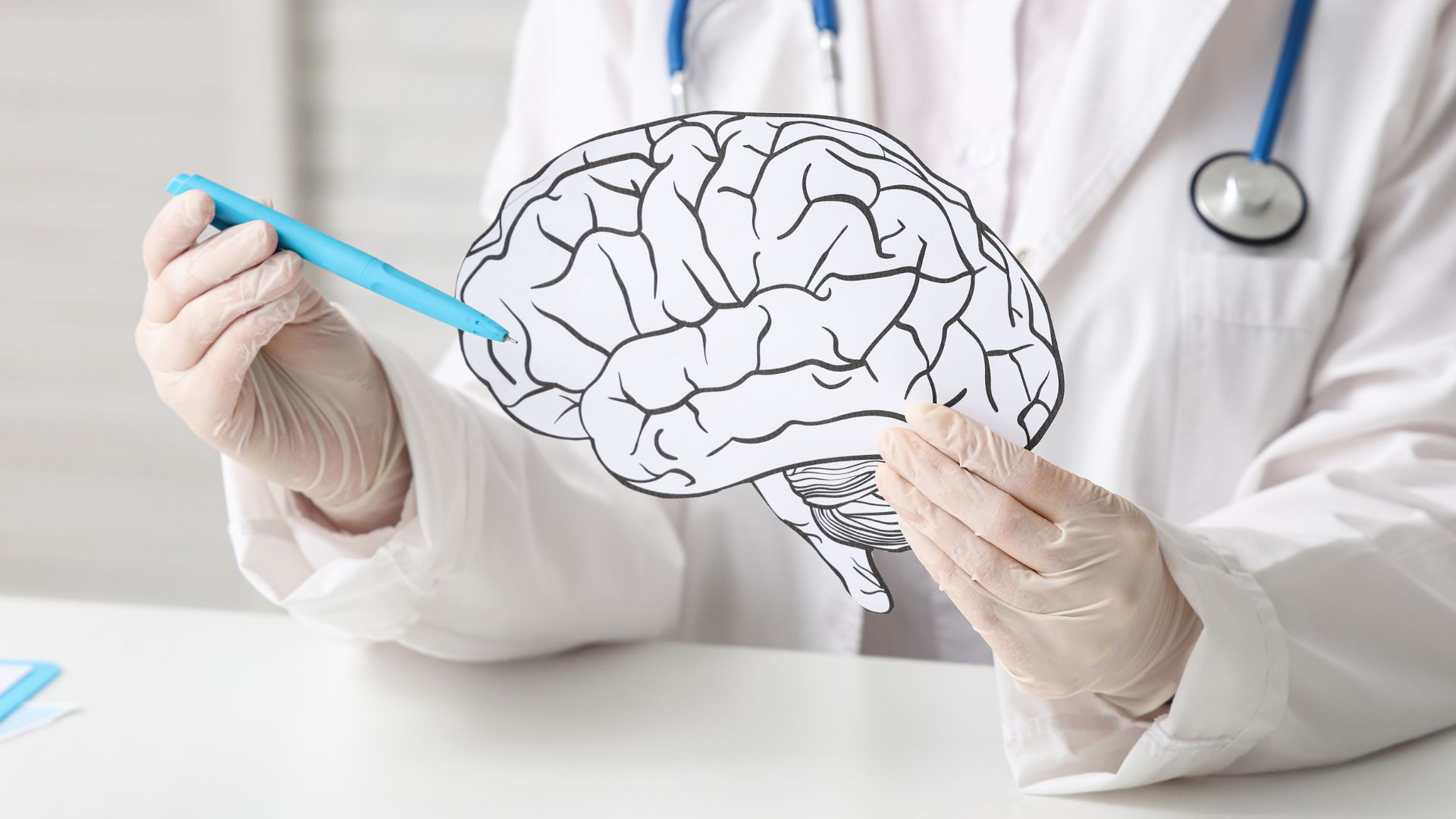 El CNIO descubre una fase vulnerable de las metástasis cerebrales que podría facilitar su tratamiento