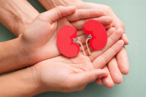 Nacen los Premios Pioneras en Cribado Renal para reconocer iniciativas que fomenten la detección precoz de la ERC
