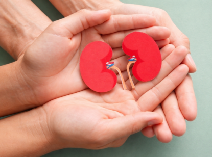 Nacen los Premios Pioneras en Cribado Renal para reconocer iniciativas que fomenten la detección precoz de la ERC