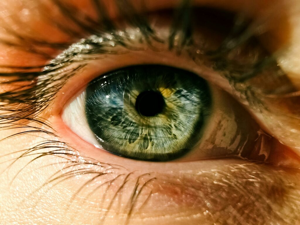 ojo